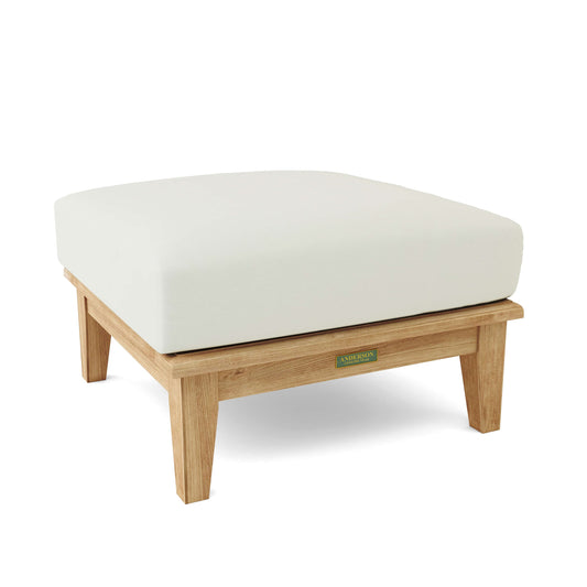 Brianna Outdoor Ottoman + Cushion